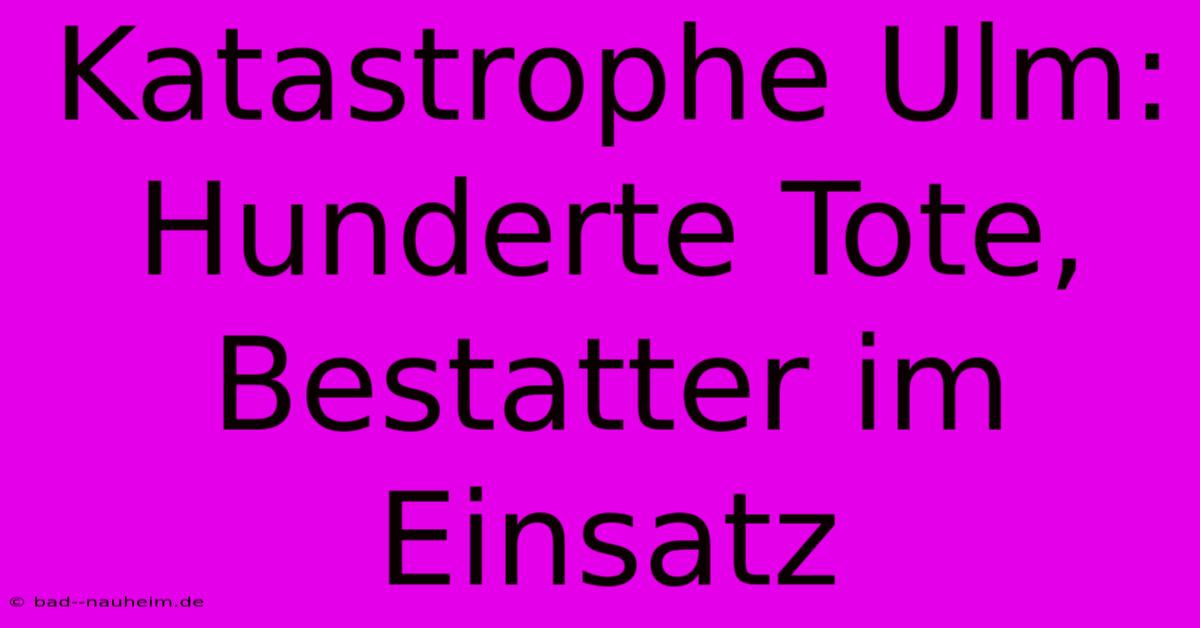 Katastrophe Ulm: Hunderte Tote, Bestatter Im Einsatz