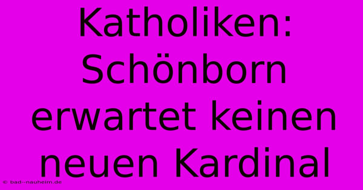 Katholiken: Schönborn Erwartet Keinen Neuen Kardinal