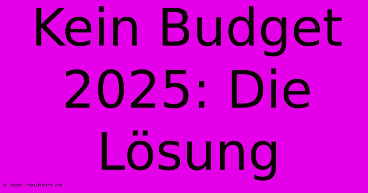 Kein Budget 2025: Die Lösung