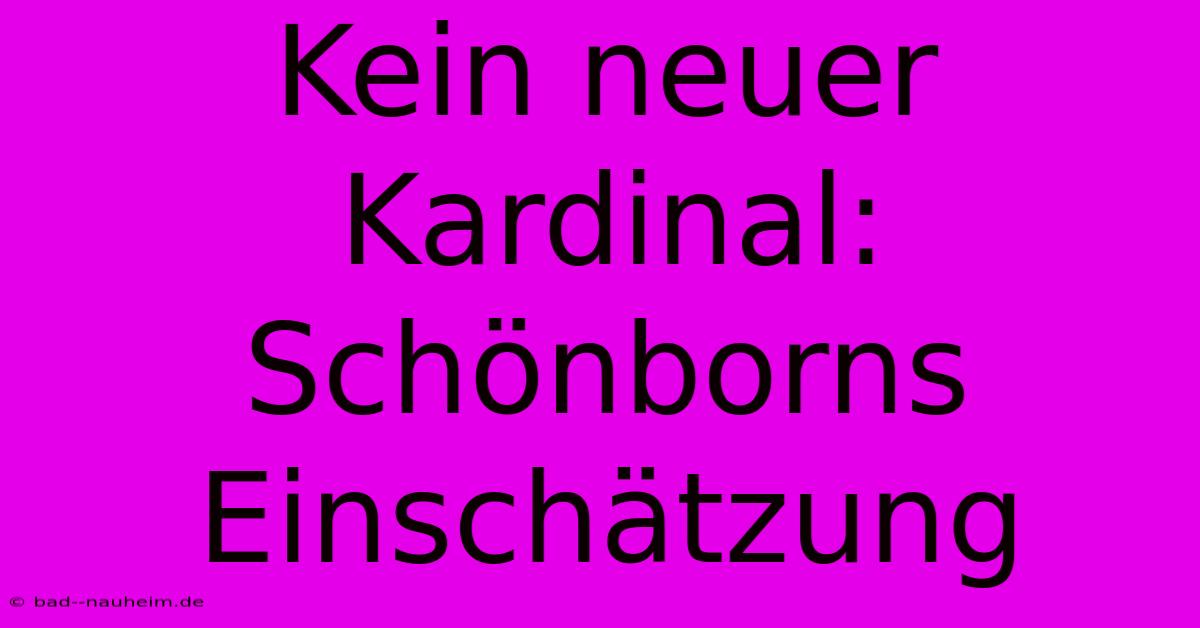 Kein Neuer Kardinal: Schönborns Einschätzung