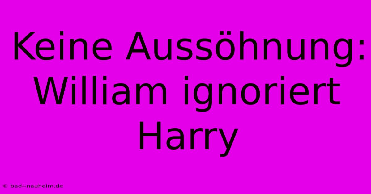 Keine Aussöhnung: William Ignoriert Harry