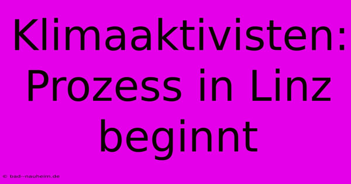 Klimaaktivisten: Prozess In Linz Beginnt