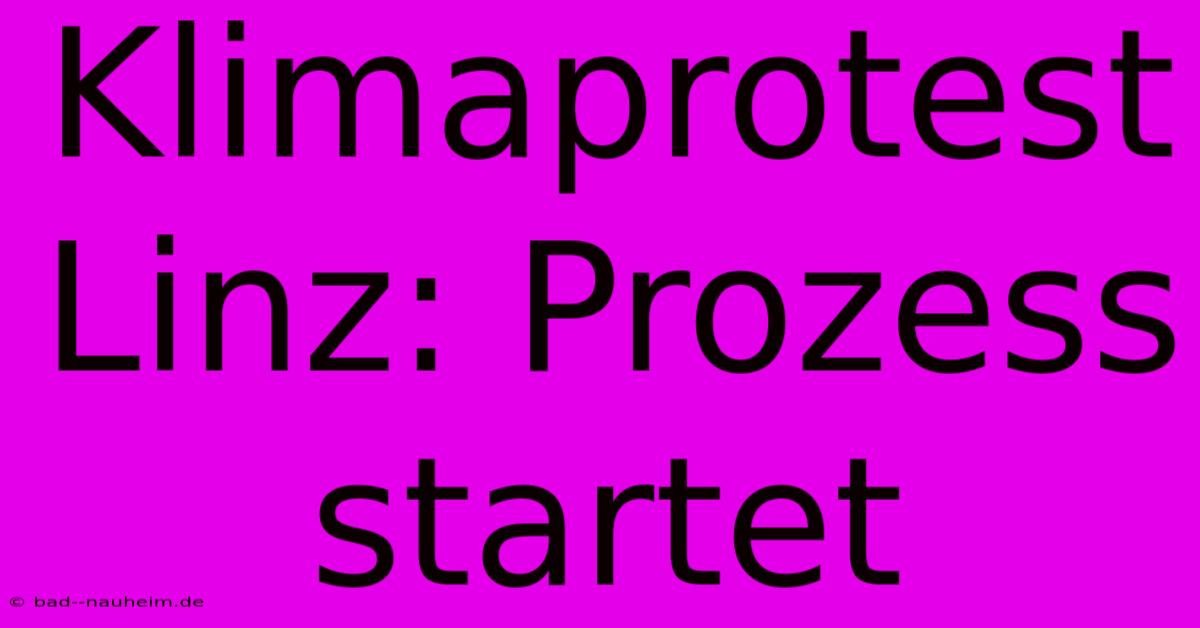 Klimaprotest Linz: Prozess Startet