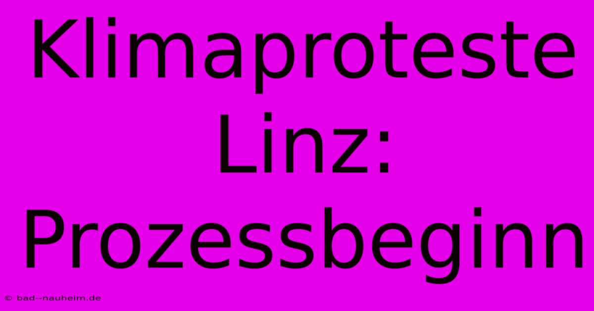 Klimaproteste Linz: Prozessbeginn