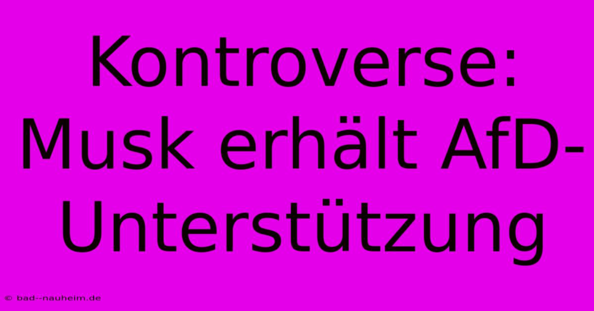 Kontroverse: Musk Erhält AfD-Unterstützung