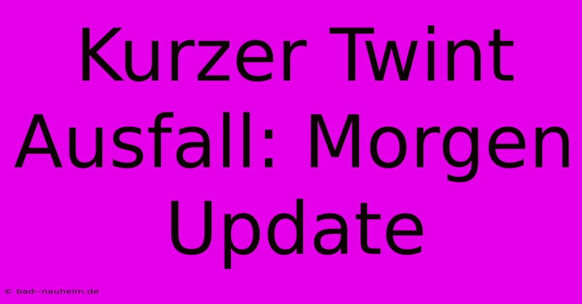 Kurzer Twint Ausfall: Morgen Update