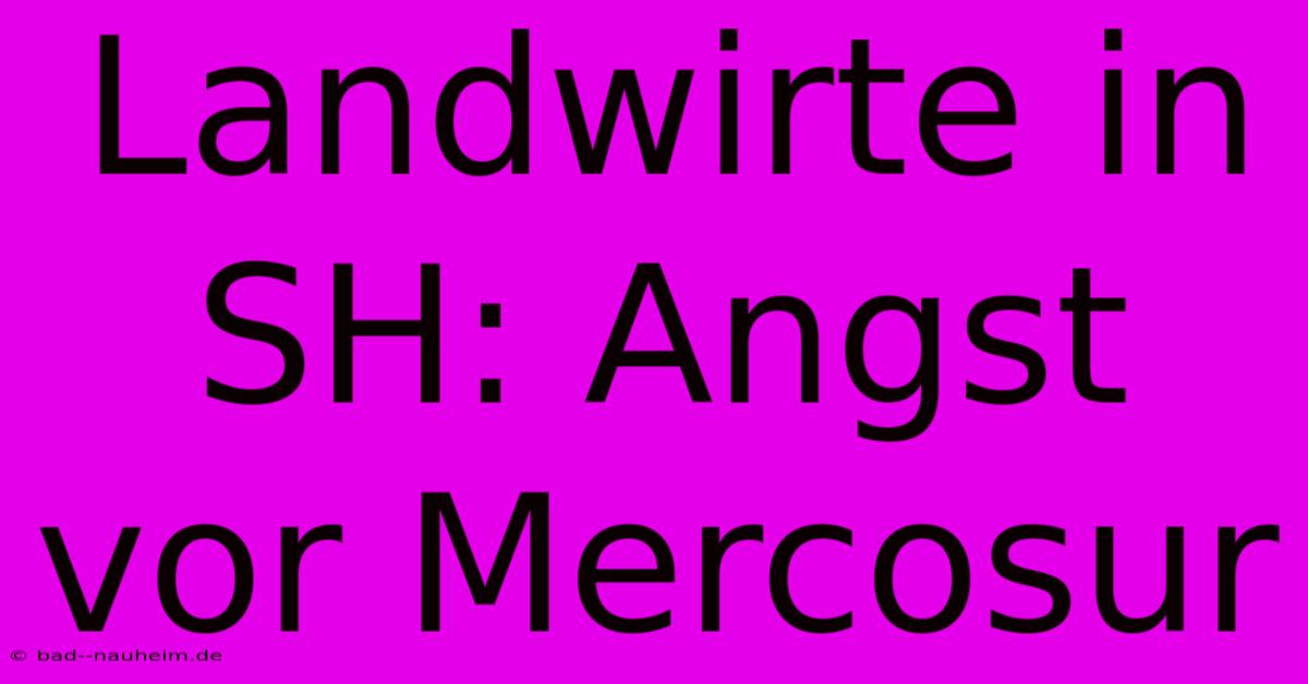 Landwirte In SH: Angst Vor Mercosur