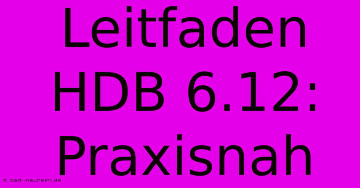 Leitfaden HDB 6.12: Praxisnah