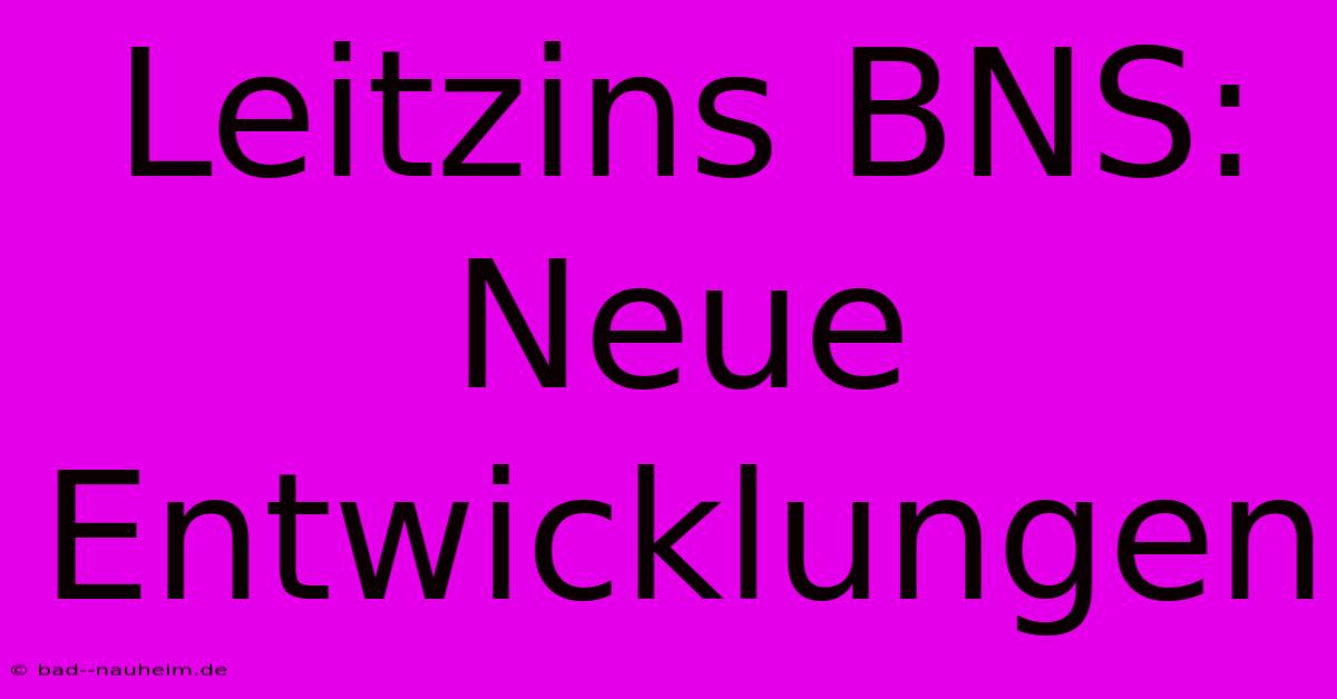 Leitzins BNS: Neue Entwicklungen