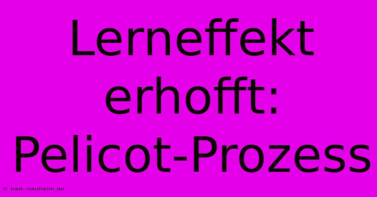 Lerneffekt Erhofft: Pelicot-Prozess