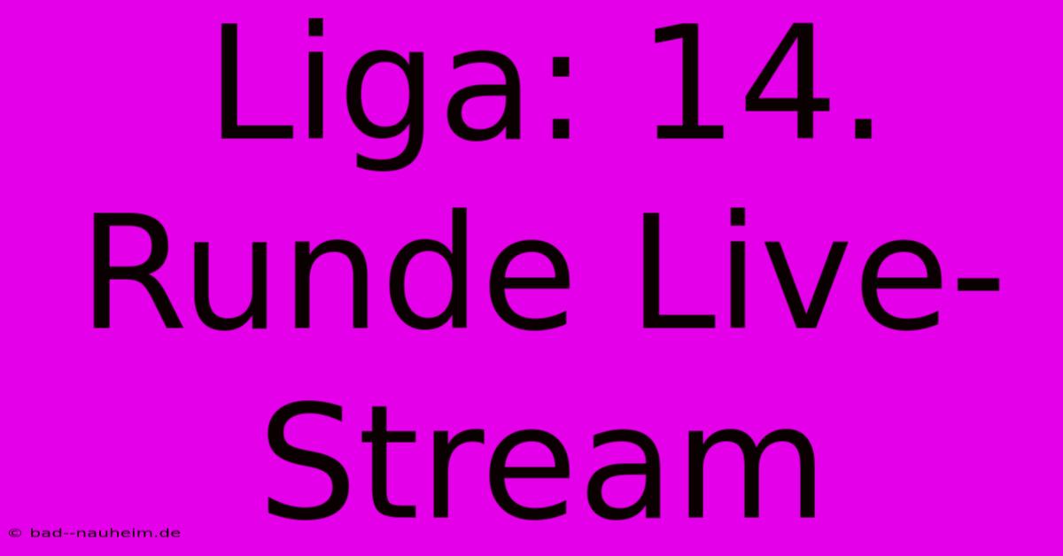 Liga: 14. Runde Live-Stream