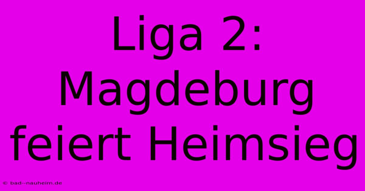 Liga 2: Magdeburg Feiert Heimsieg