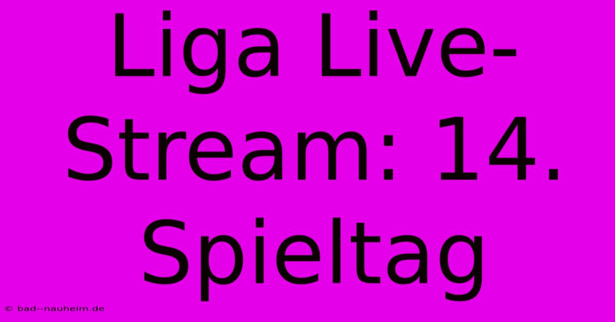 Liga Live-Stream: 14. Spieltag