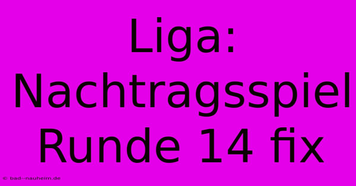 Liga: Nachtragsspiel Runde 14 Fix