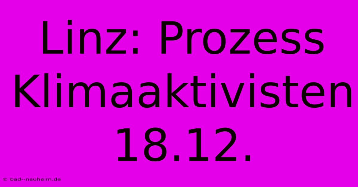 Linz: Prozess Klimaaktivisten 18.12.