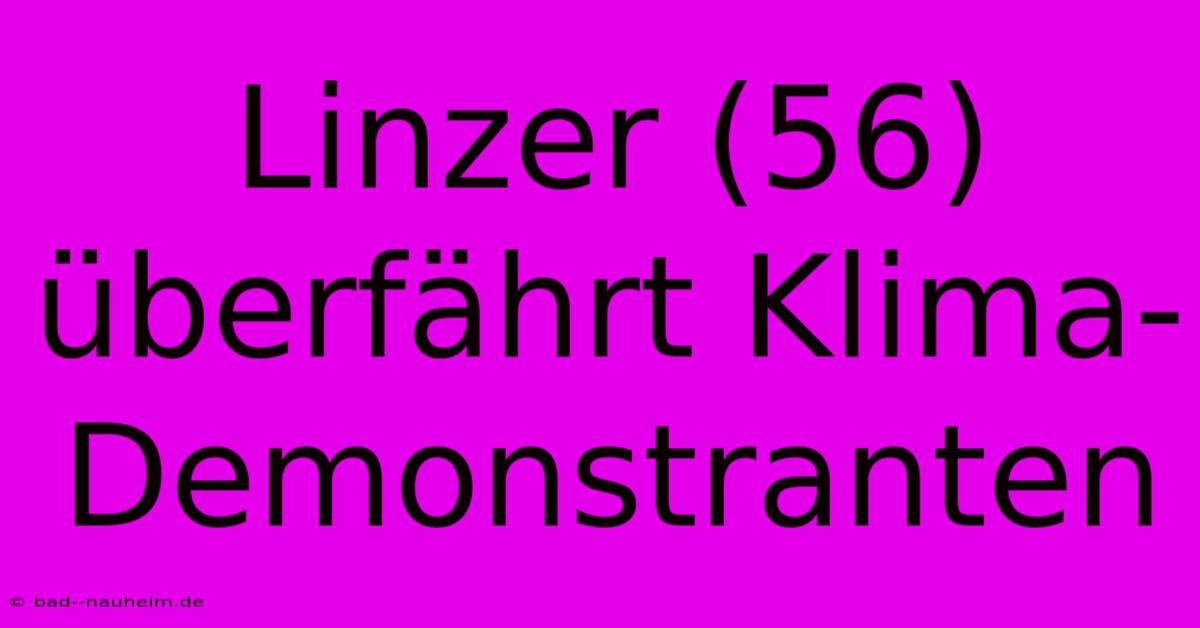 Linzer (56) Überfährt Klima-Demonstranten