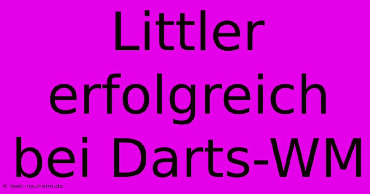 Littler Erfolgreich Bei Darts-WM