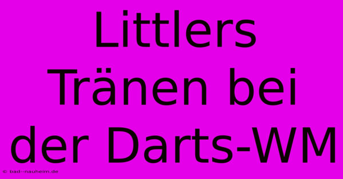 Littlers Tränen Bei Der Darts-WM