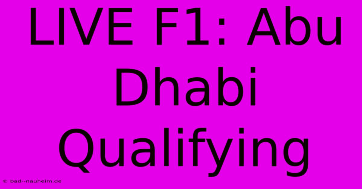 LIVE F1: Abu Dhabi Qualifying