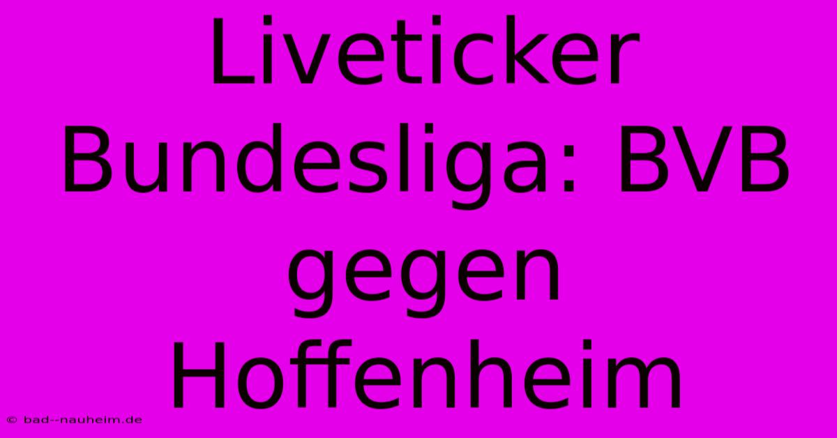 Liveticker Bundesliga: BVB Gegen Hoffenheim