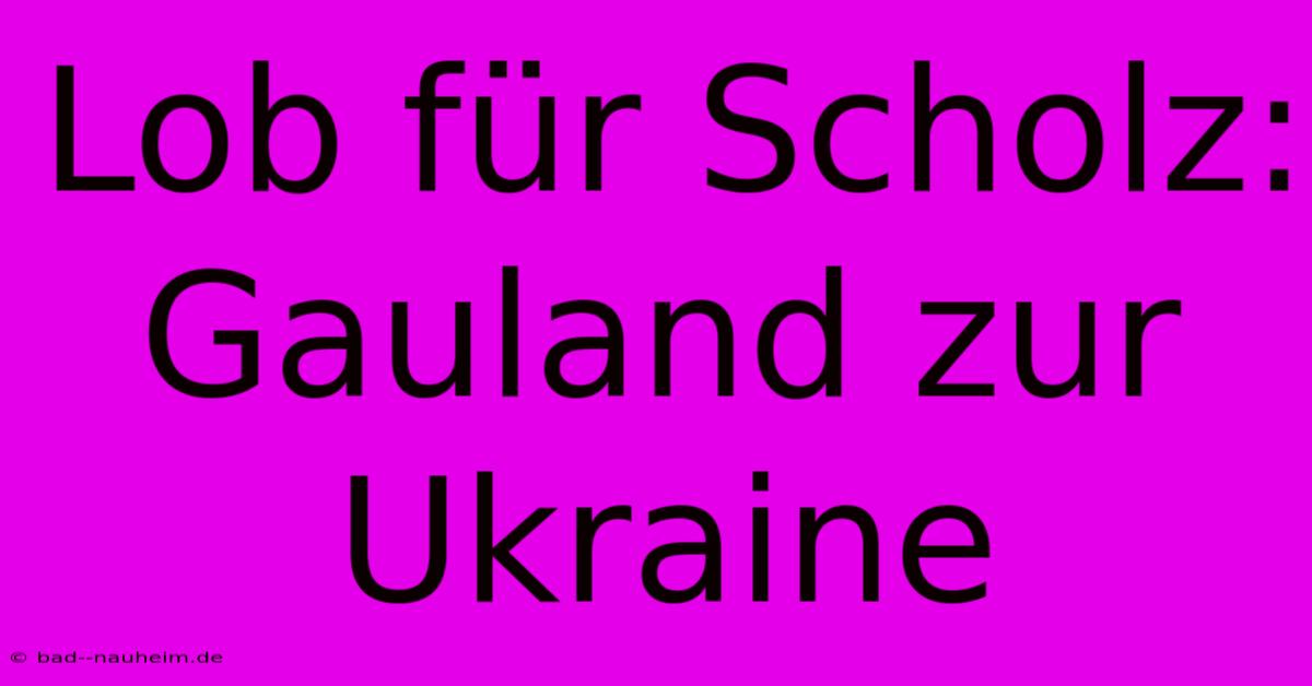 Lob Für Scholz: Gauland Zur Ukraine