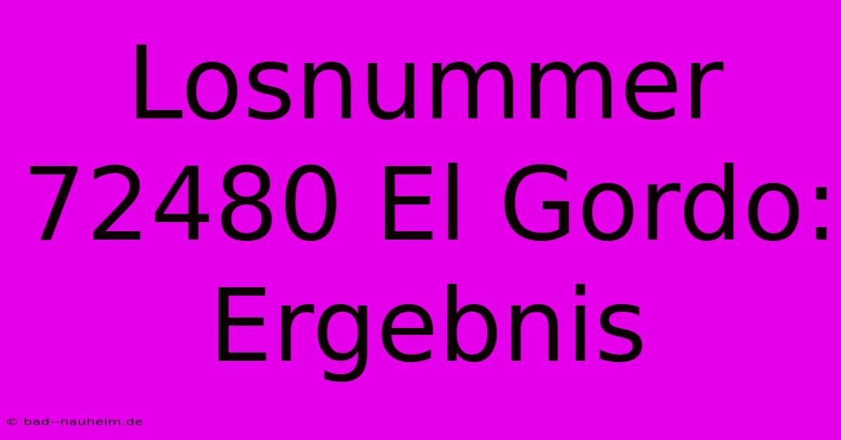 Losnummer 72480 El Gordo: Ergebnis