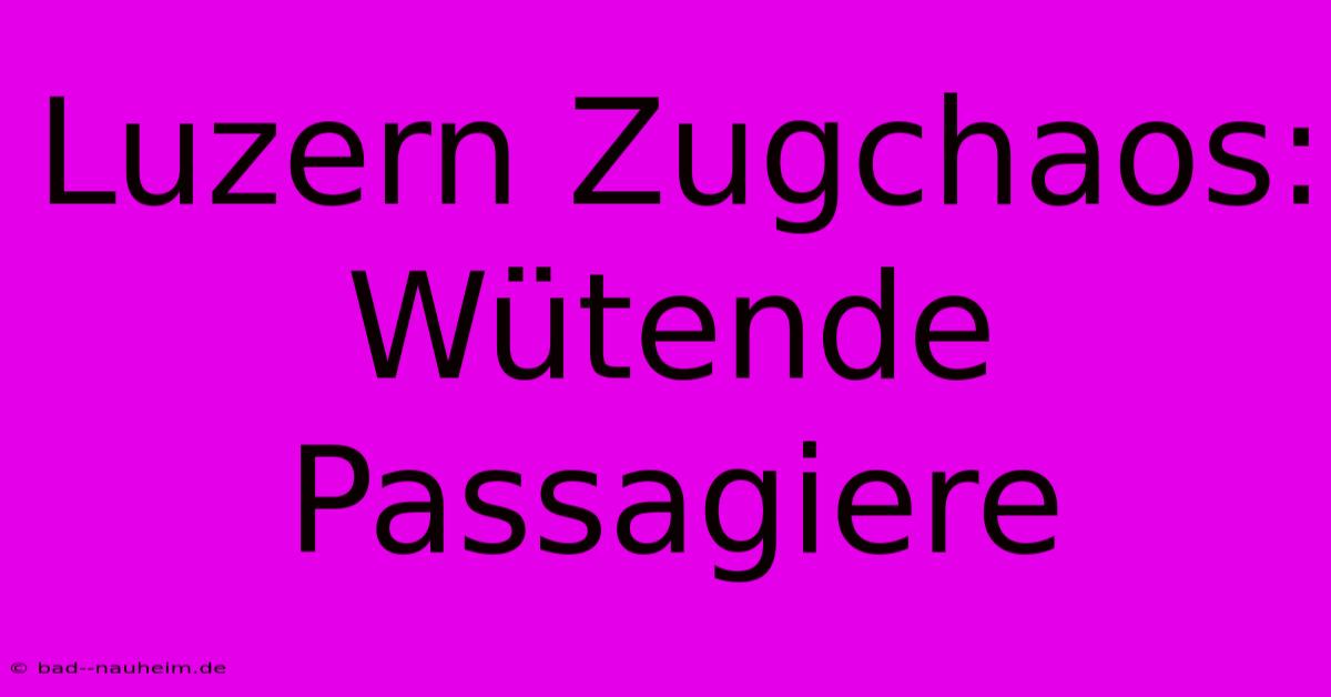 Luzern Zugchaos: Wütende Passagiere