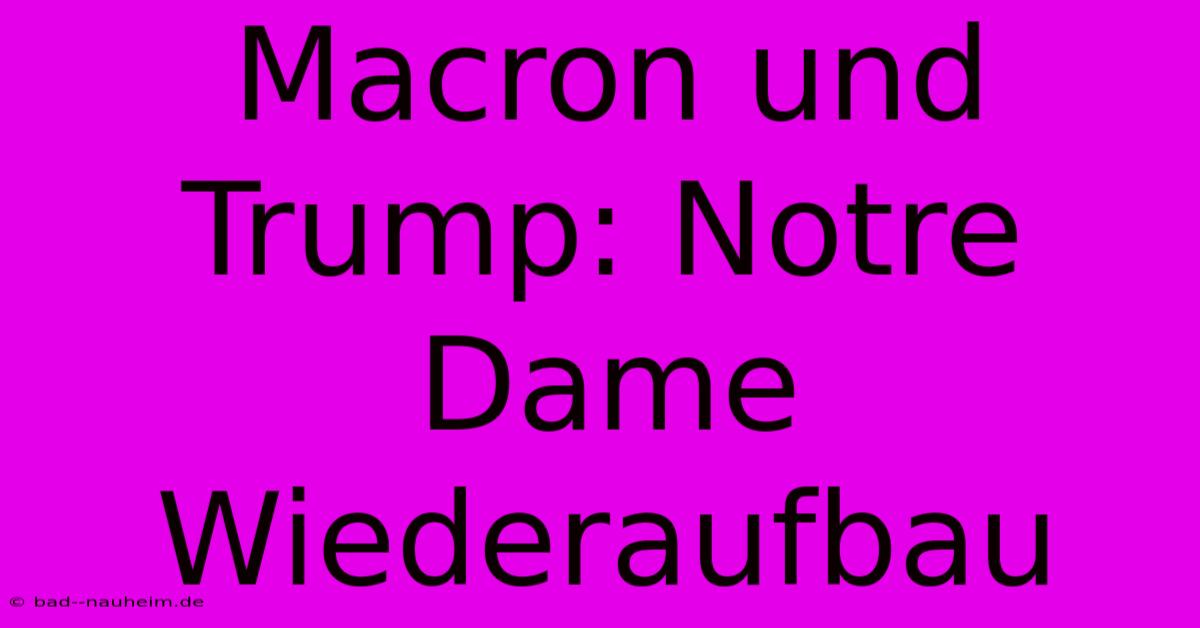 Macron Und Trump: Notre Dame Wiederaufbau