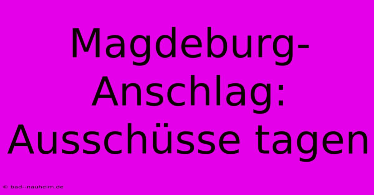 Magdeburg-Anschlag: Ausschüsse Tagen