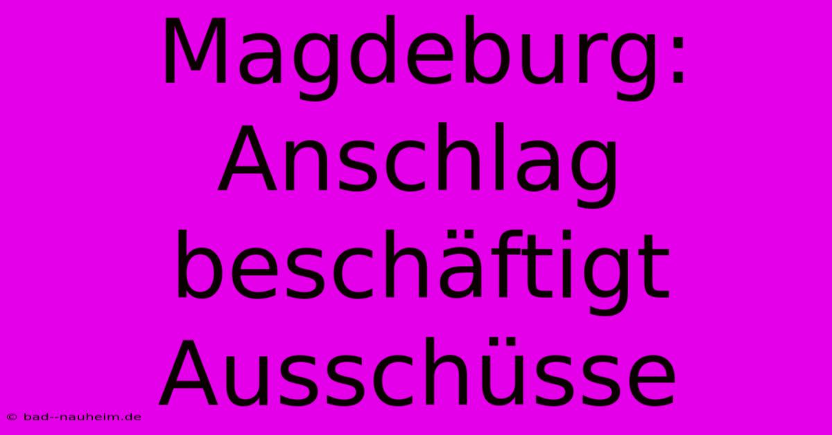 Magdeburg: Anschlag Beschäftigt Ausschüsse