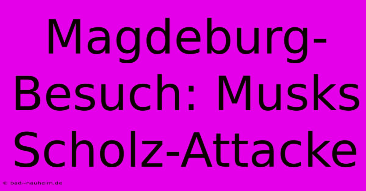 Magdeburg-Besuch: Musks Scholz-Attacke