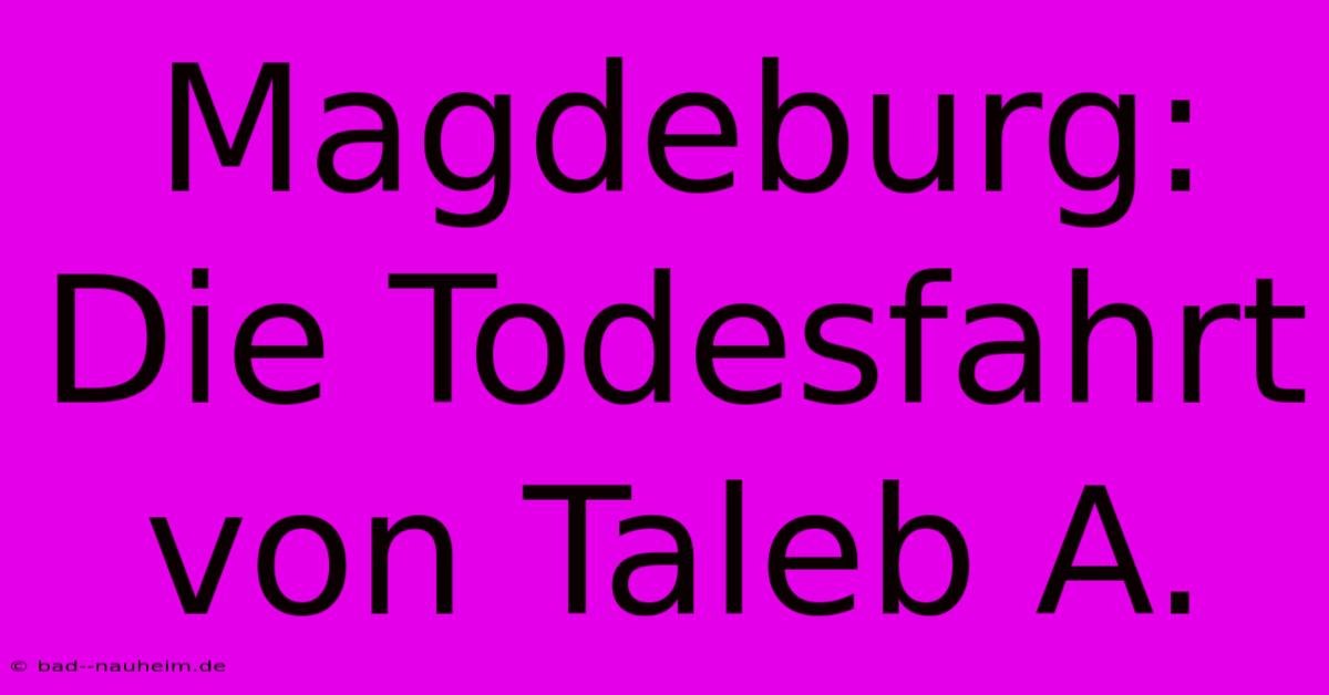 Magdeburg:  Die Todesfahrt Von Taleb A.