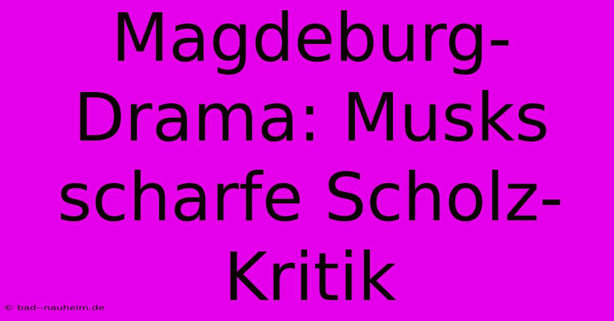 Magdeburg-Drama: Musks Scharfe Scholz-Kritik