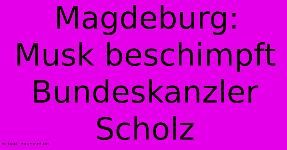 Magdeburg: Musk Beschimpft Bundeskanzler Scholz