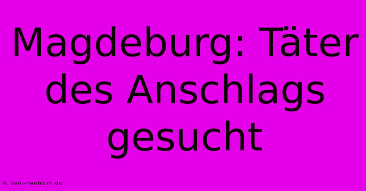 Magdeburg: Täter Des Anschlags Gesucht