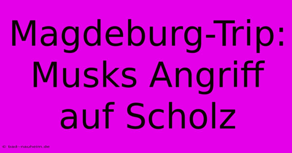 Magdeburg-Trip: Musks Angriff Auf Scholz