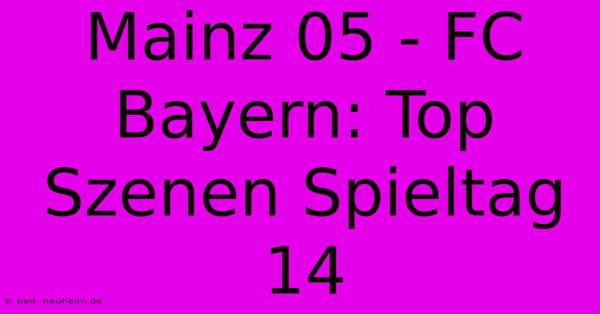 Mainz 05 - FC Bayern: Top Szenen Spieltag 14