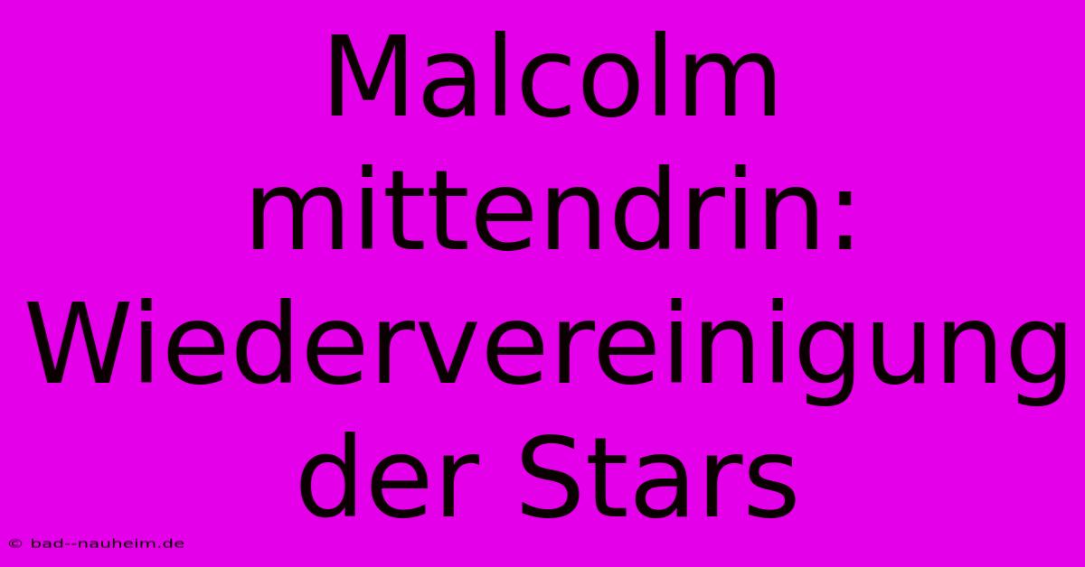 Malcolm Mittendrin: Wiedervereinigung Der Stars