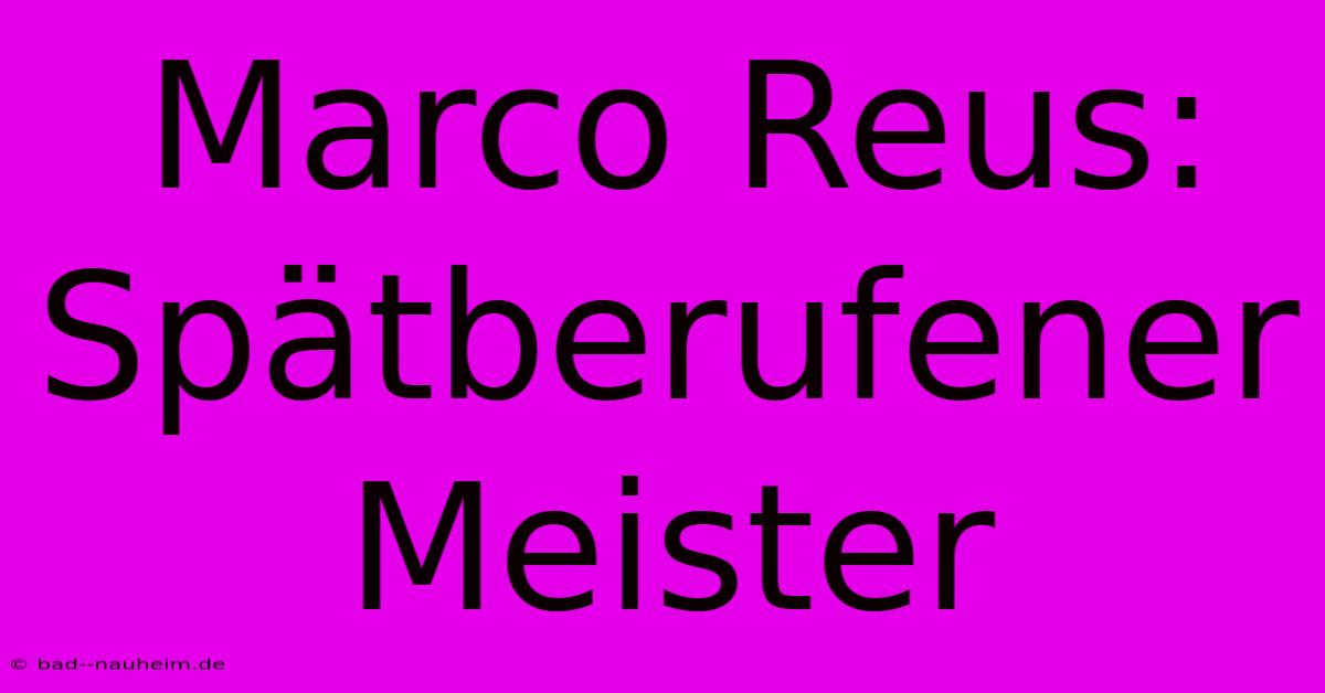 Marco Reus: Spätberufener Meister