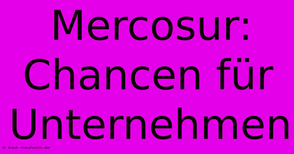 Mercosur: Chancen Für Unternehmen