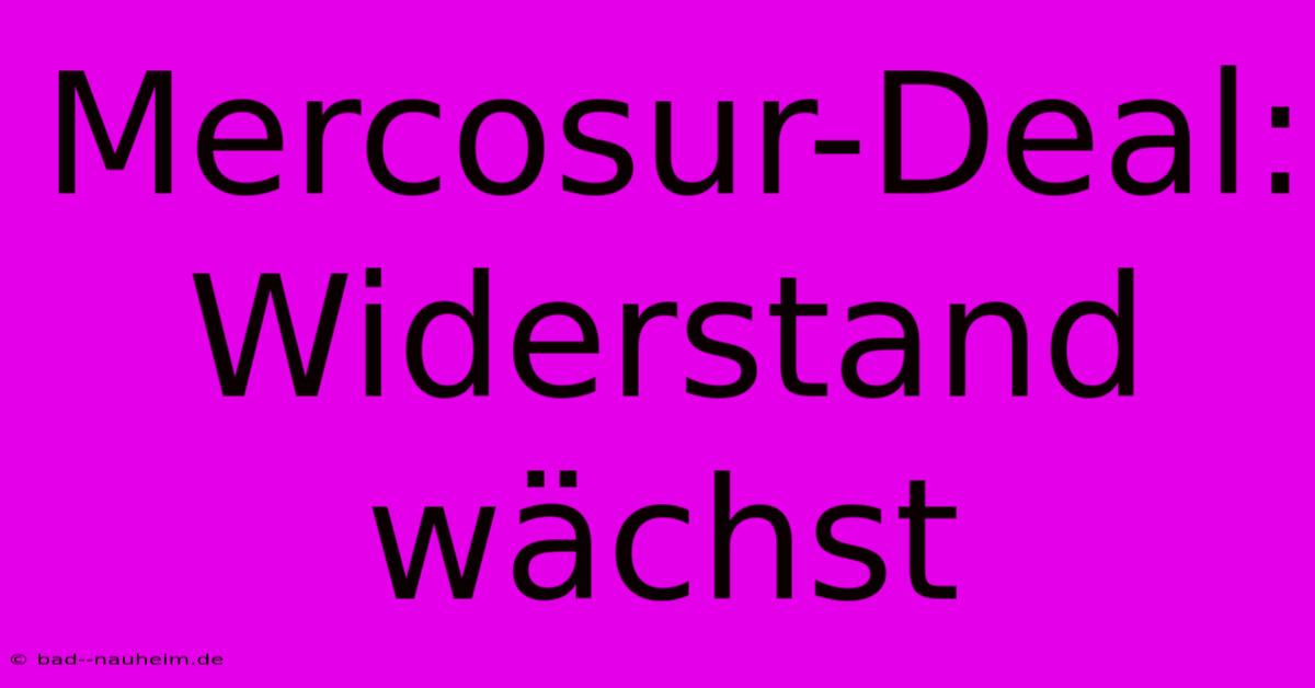 Mercosur-Deal: Widerstand Wächst