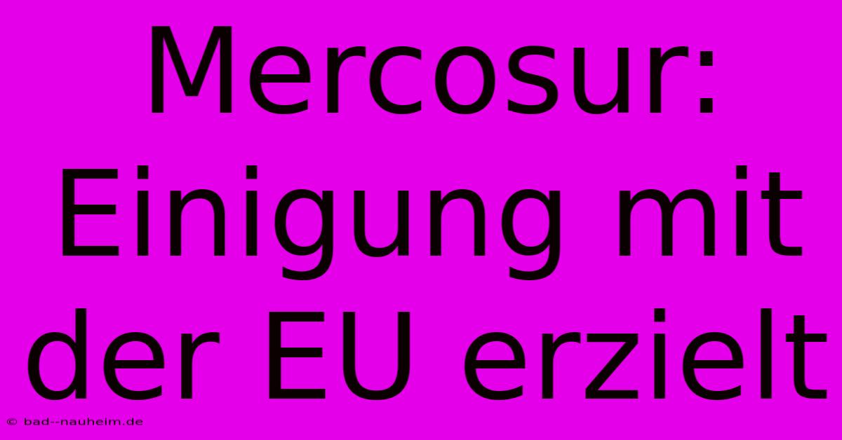 Mercosur: Einigung Mit Der EU Erzielt