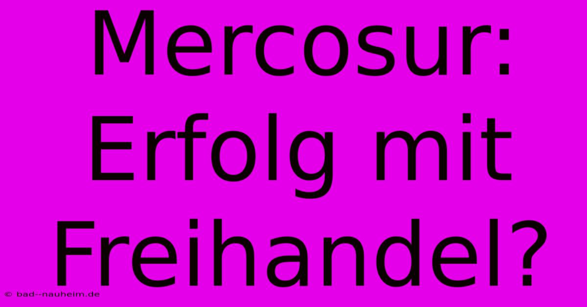 Mercosur:  Erfolg Mit Freihandel?