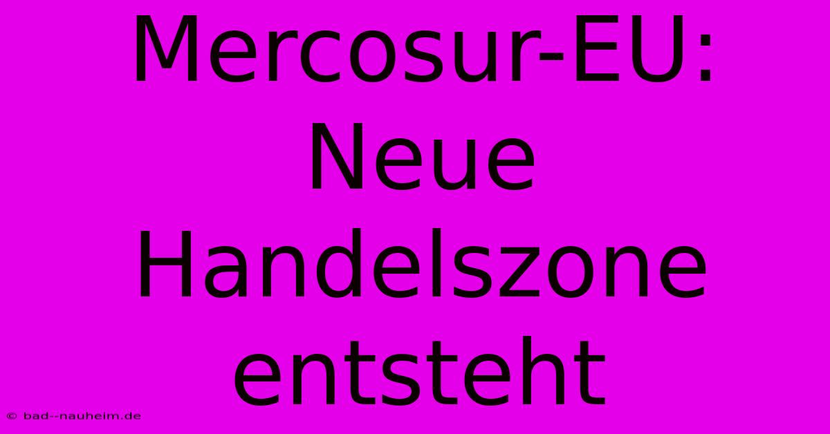 Mercosur-EU:  Neue Handelszone Entsteht