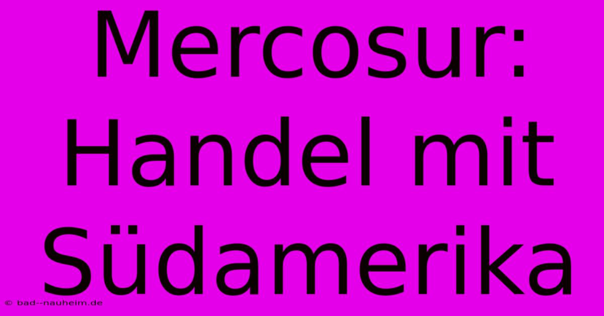 Mercosur: Handel Mit Südamerika