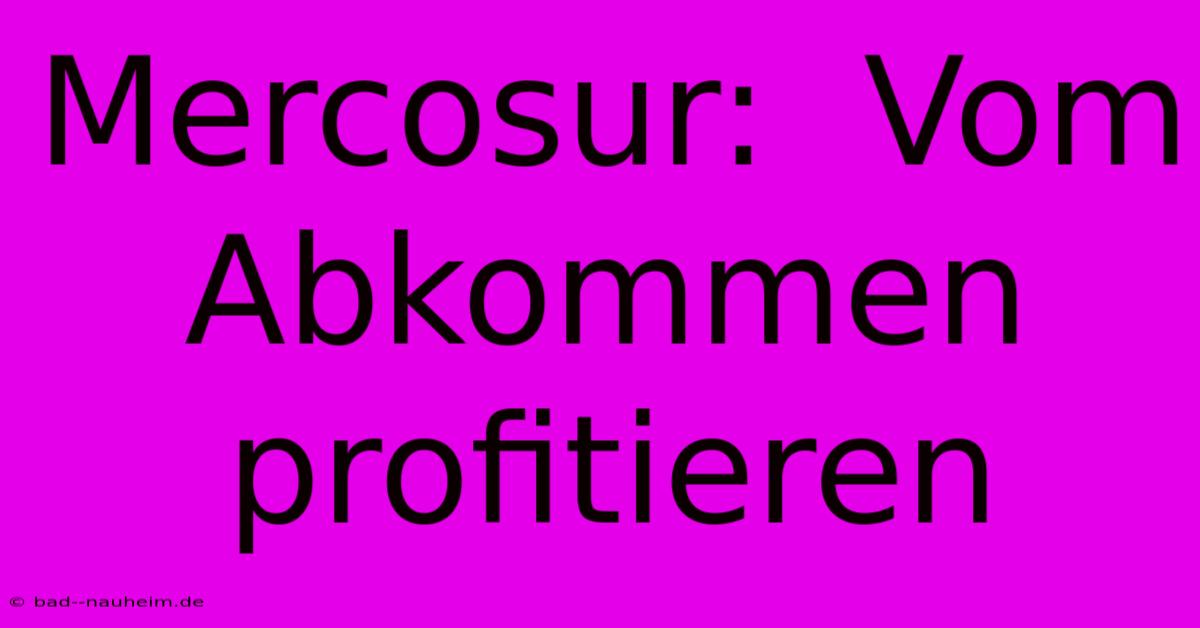 Mercosur:  Vom Abkommen Profitieren