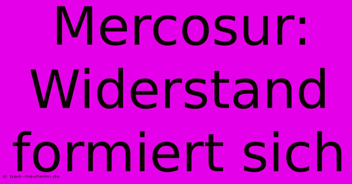 Mercosur: Widerstand Formiert Sich