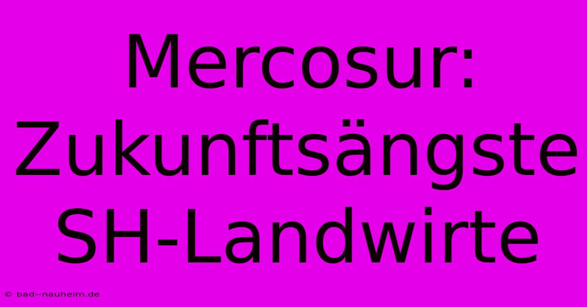 Mercosur: Zukunftsängste SH-Landwirte