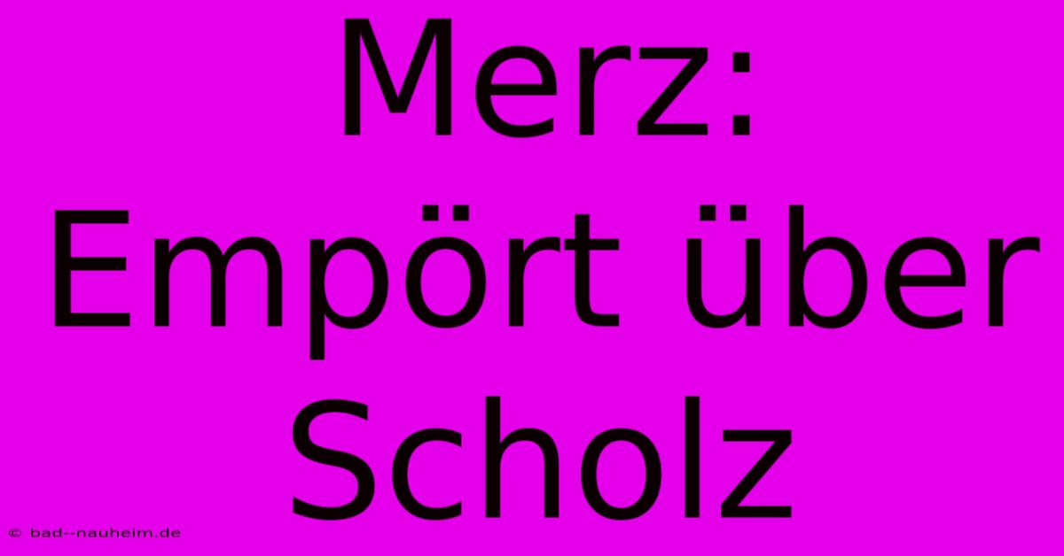 Merz: Empört Über Scholz