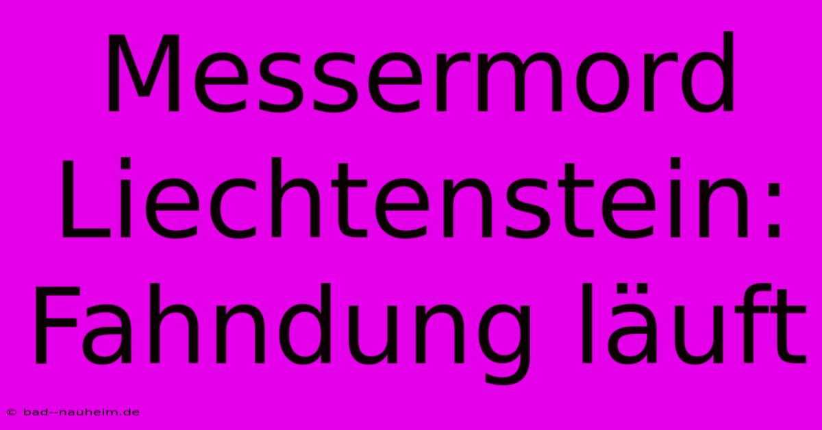 Messermord Liechtenstein: Fahndung Läuft